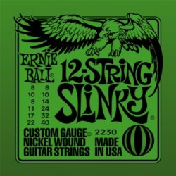 Ernie Ball 2230 12 String Slinky muta elettrica