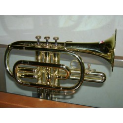 Flicornino Grassi