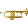 Amati ACR-252 Cornetta in Mib laccata con custodia  