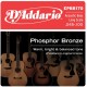 D'Addario EPBB170 in bronzo fosforoso per basso acustico 45-100 Long Scale