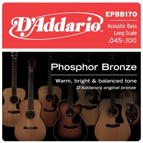 D'Addario EPBB170 in bronzo fosforoso per basso acustico 45-100 Long Scale