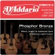 D'Addario EPBB170-5 in bronzo fosforoso per basso acustico 5 corde 45-130 Long Scale