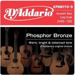 D'Addario EPBB170-5 in bronzo fosforoso per basso acustico 5 corde 45-130 Long Scale