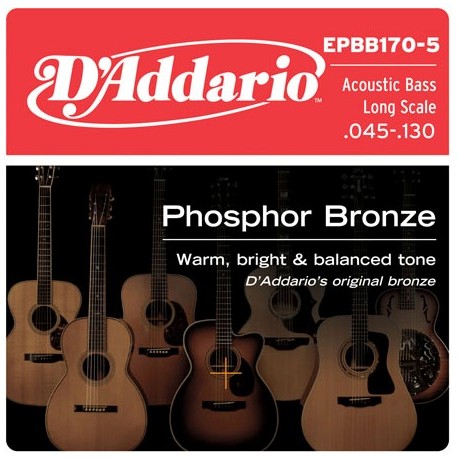 D'Addario EPBB170-5 in bronzo fosforoso per basso acustico 5 corde 45-130 Long Scale