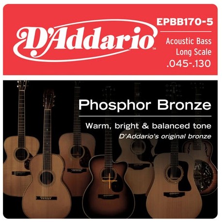 D'Addario EPBB170-5 in bronzo fosforoso per basso acustico 5 corde 45-130 Long Scale