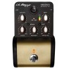 L.R. Baggs Session D.I.