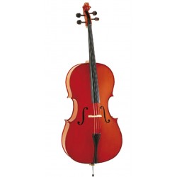 Eko EBC 6012 4/4 Violoncello serie Student 