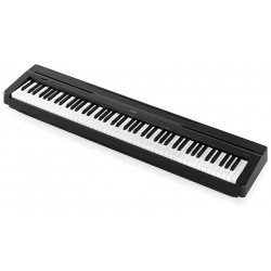 Yamaha P45B 