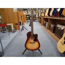Seagull Entourage Autumn Burst CW QIT