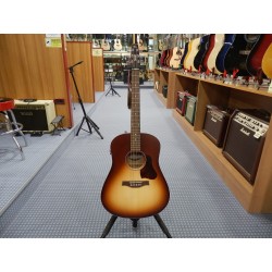 Seagull Entourage Autumn Burst QI 