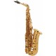 Selmer Sax alto SA80 II JUBILE GG Gold Laquer Engraved + Custodia