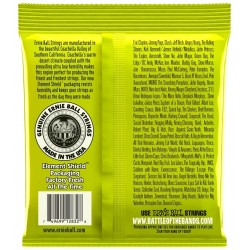 Ernie Ball 2832 Nickel Wound Regular