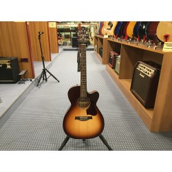 Seagull Autumn Burst CH CW A/E 