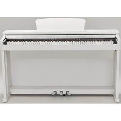 W.Hausmann DK-520 White