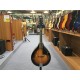 VGS mandolino A-1 Select