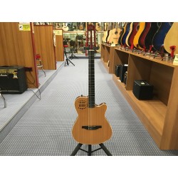 Godin 032167 ACS Slim Nylon SA-2 Voice w/bag