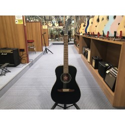 Fender Joe Strummer Campfire Matte Blk WN