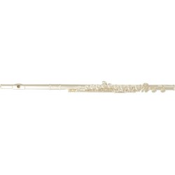 SML Paris VSM FL300E