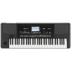 Korg PA300 