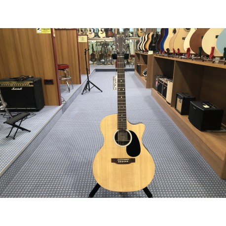 Martin & Co. GPC-X2E-02 Palissandro X Series