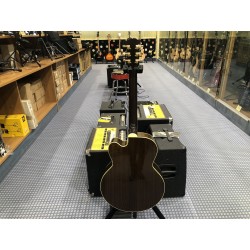 Gibson J165 EC Rosewood