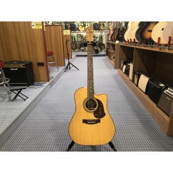 Maton EA80C usato