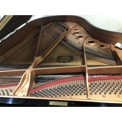 Yamaha Pianoforte a coda Mod.C5S Silent usato
