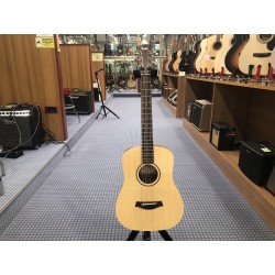 Taylor BT1 Walnut