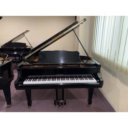 Lippmann G805 Pianoforte ½ coda usato