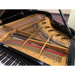 Lippmann G805 Pianoforte ½ coda usato