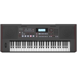 Roland EX50 