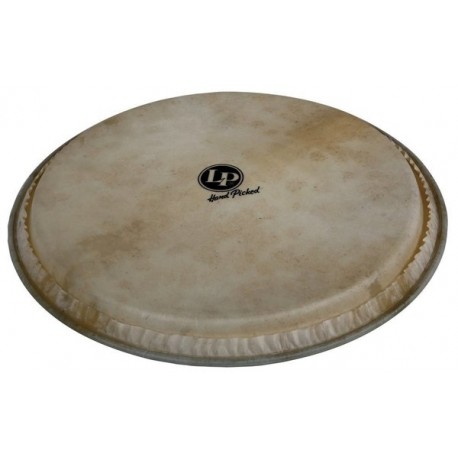 Latin Percussion Pelli Djembè hand picked