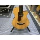Ibanez AEGB30ENTG
