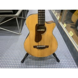 Ibanez AEGB30ENTG