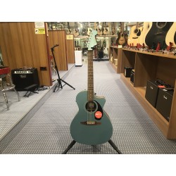 Fender NEWPORTER PLAYER TPL WN 