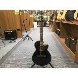 Ibanez AEG5012BKH