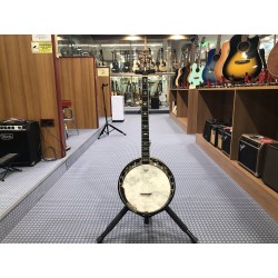 Fender banjo CD09 usato