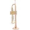 Roy Benson Tromba in Sib TR-202G