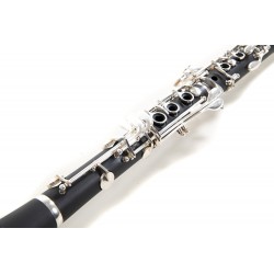 Roy Benson Clarinetto in Sib CB-217 PU 5