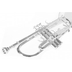 Roy Benson Tromba in SIb TR202S