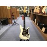 Fender AM PRO II STRAT RW OWT