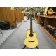Ibanez AEG50NNT 