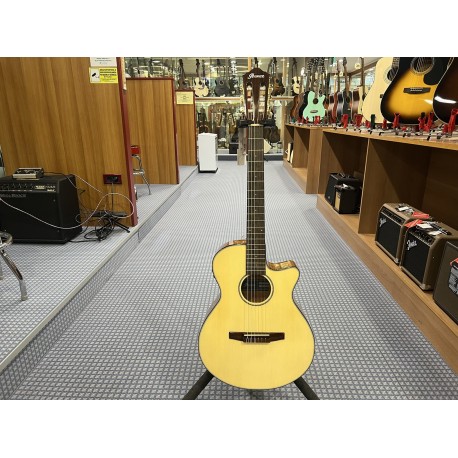 Ibanez AEG50NNT 