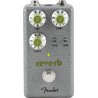 Fender HAMMERTONE REVERBE