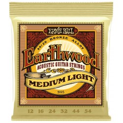 Ernie Ball 2003 Earthwood 80/20 Kit 4 Pz.