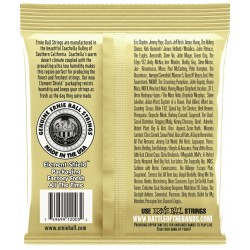Ernie Ball 2003 Earthwood 80/20 Kit 4 Pz.