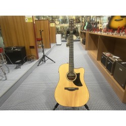 Ibanez AAD50CELG