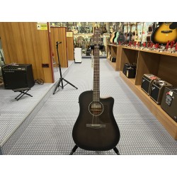 Ibanez AAD50CETCB
