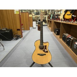 Ibanez AAM50CEOPN