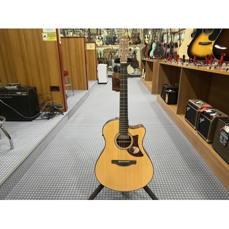 Ibanez AAM50CEOPN